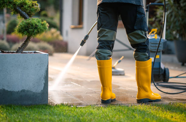 Best Pressure Washing Driveway  in USA